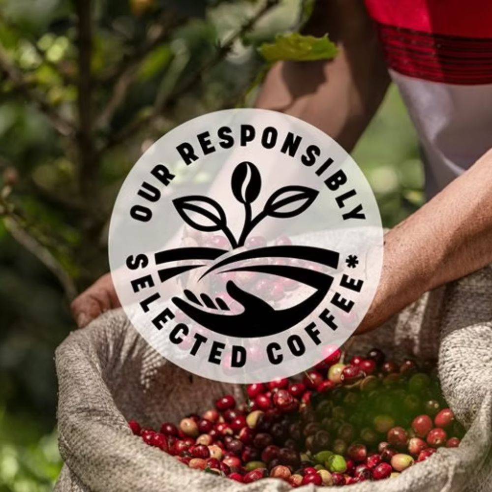 Ristretto Intenso 100 Pods